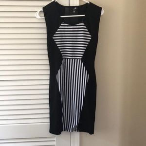 Striped zebra dress